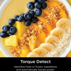 Ninja Detect™ Pro Blender