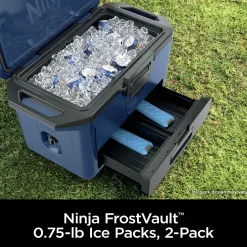 Ninja FrostVault™ 0.7lb. Ice Packs, 2-Pack