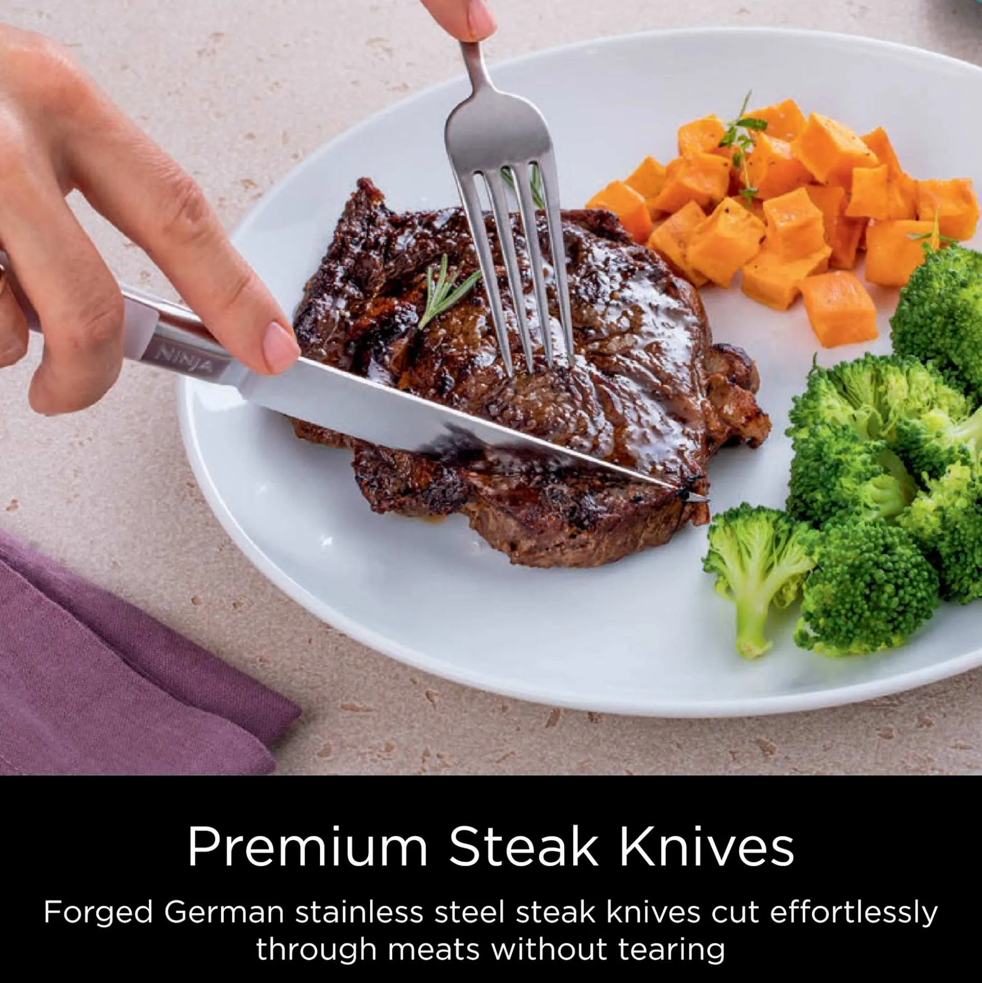 Ninja NeverDull® 12-Piece Premium Knife System