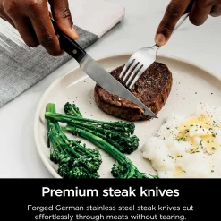 Ninja NeverDull® 17-Piece Premium Knife System
