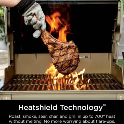 Ninja ProChef™ Wireless Thermometer