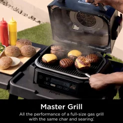 Ninja Woodfire Outdoor Grill and Smoker Stand Bundle