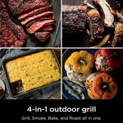 Ninja Woodfire Outdoor Grill