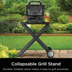 Ninja Woodfire Outdoor Grill