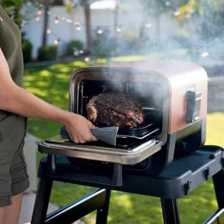 Ninja Woodfire™ Pizza Oven