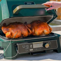 Ninja Woodfire Premium XL BBQ Grill in Green and Gold