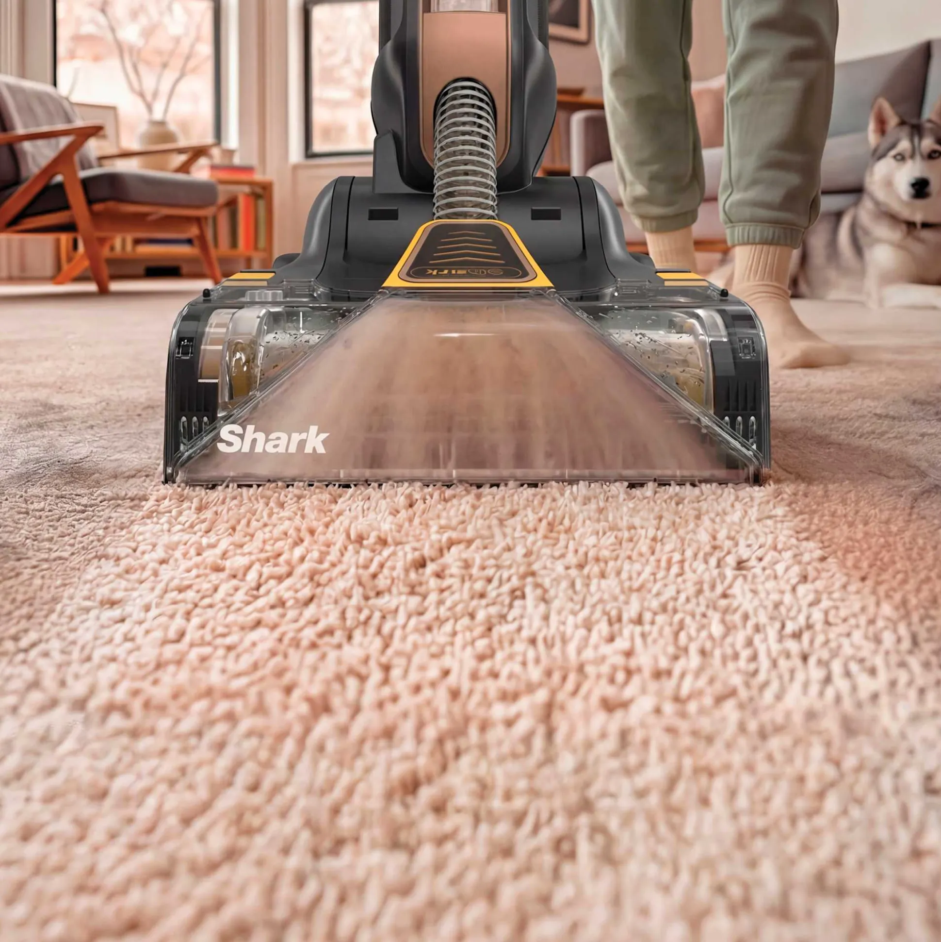 Shark CarpetForce™ HairPro Upright Carpet Cleaner in Black Teal