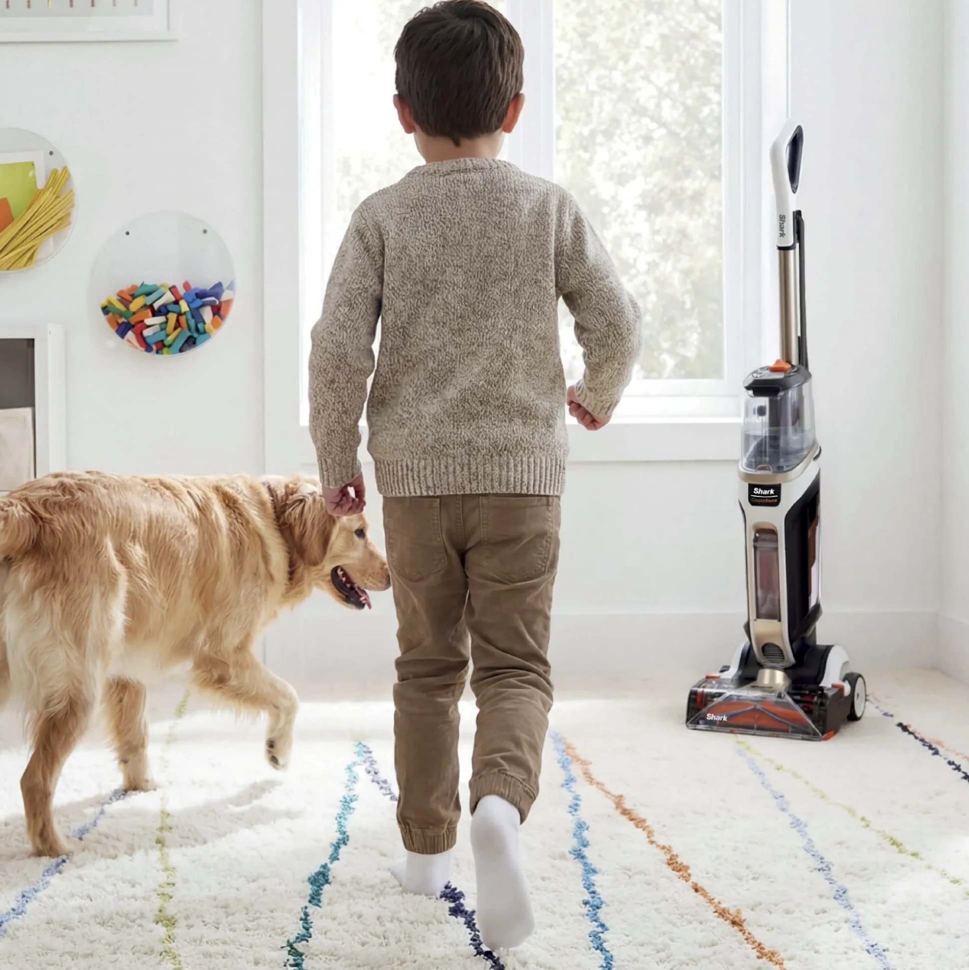 Shark CarpetForce™ Upright Carpet Cleaner