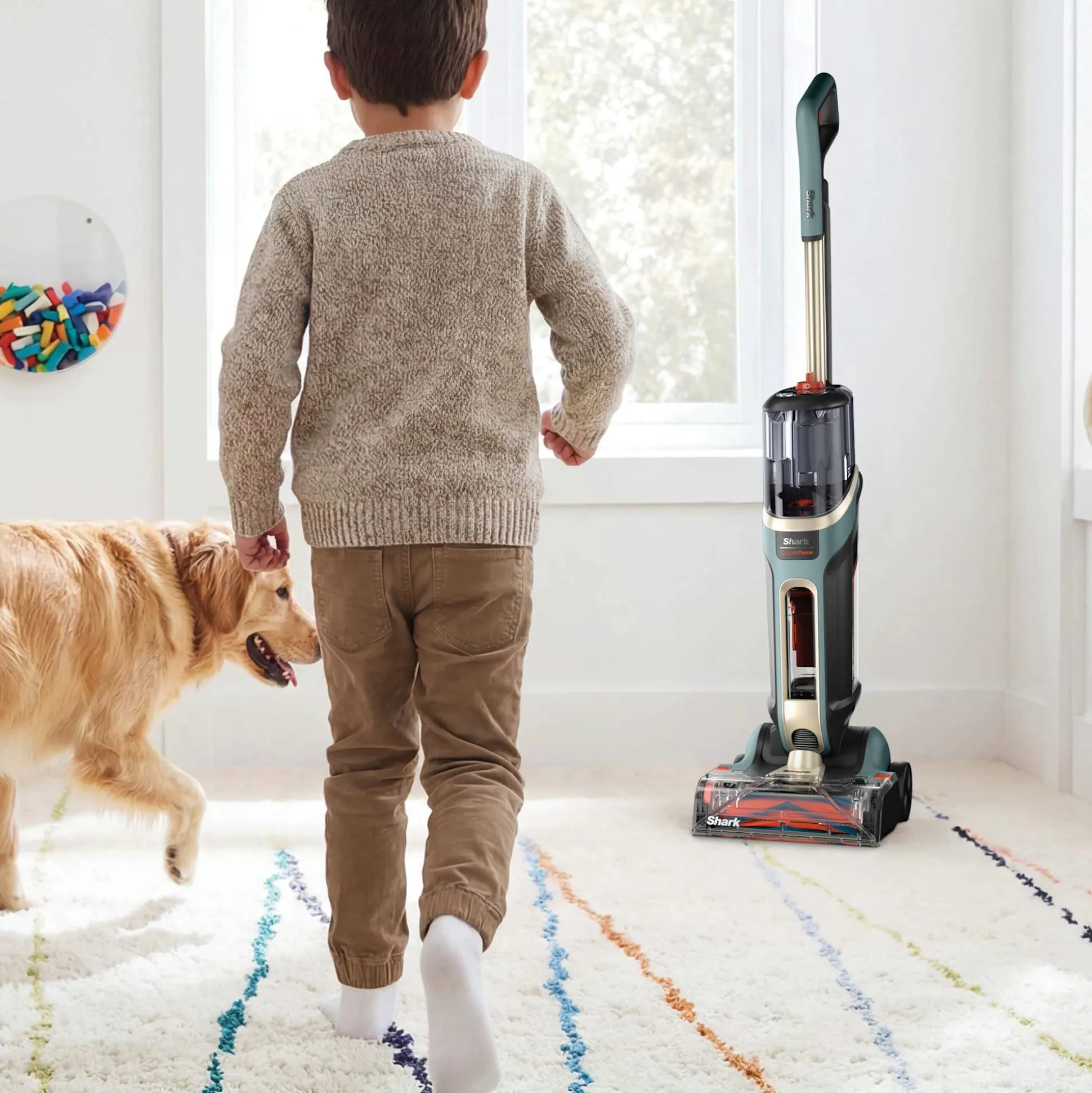 Shark® CarpetForce™ Upright Carpet Cleaner