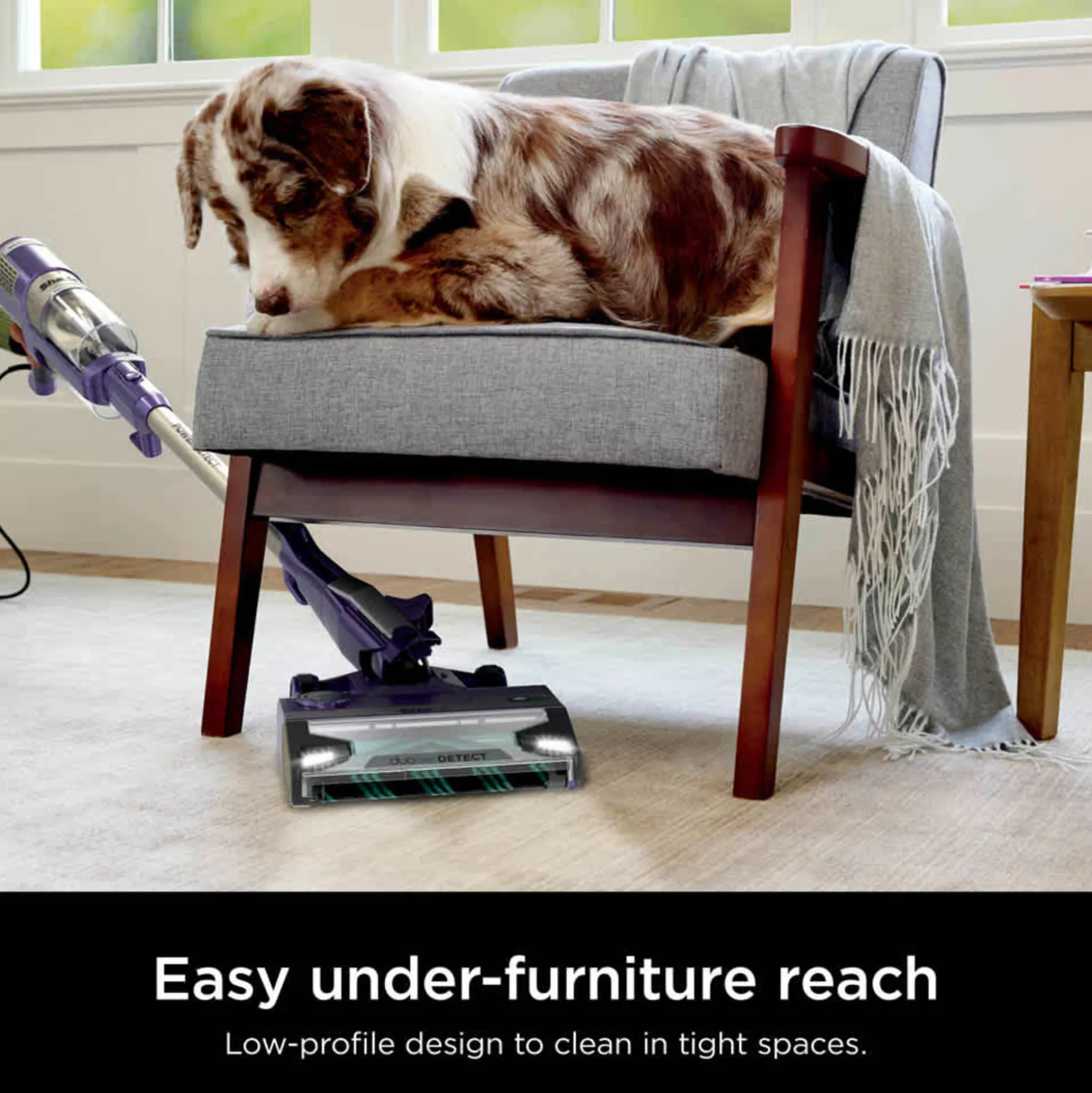 Shark® PowerDetect® Corded Stick Vacuum