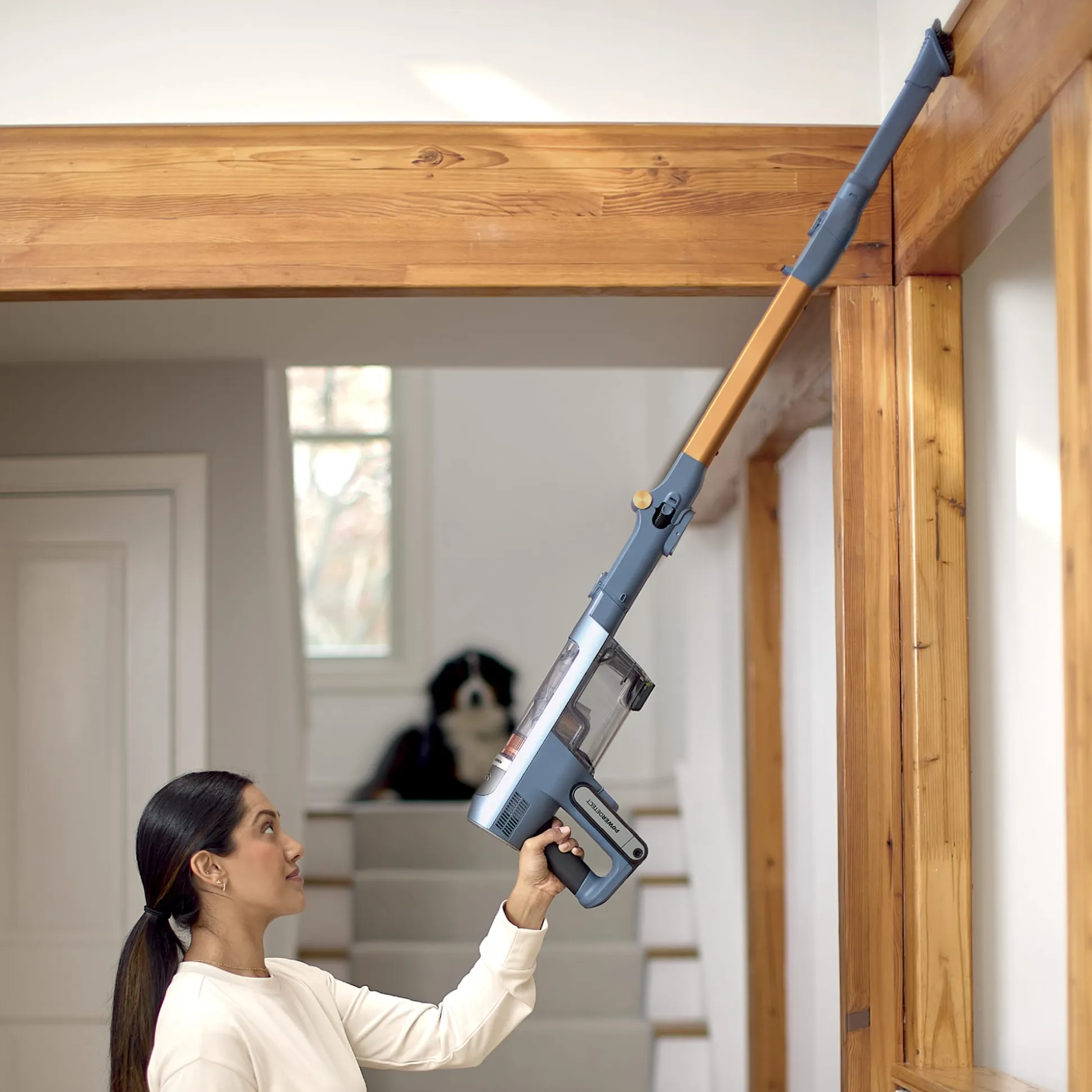 Shark PowerDetect Speed™ Cordless Vacuum
