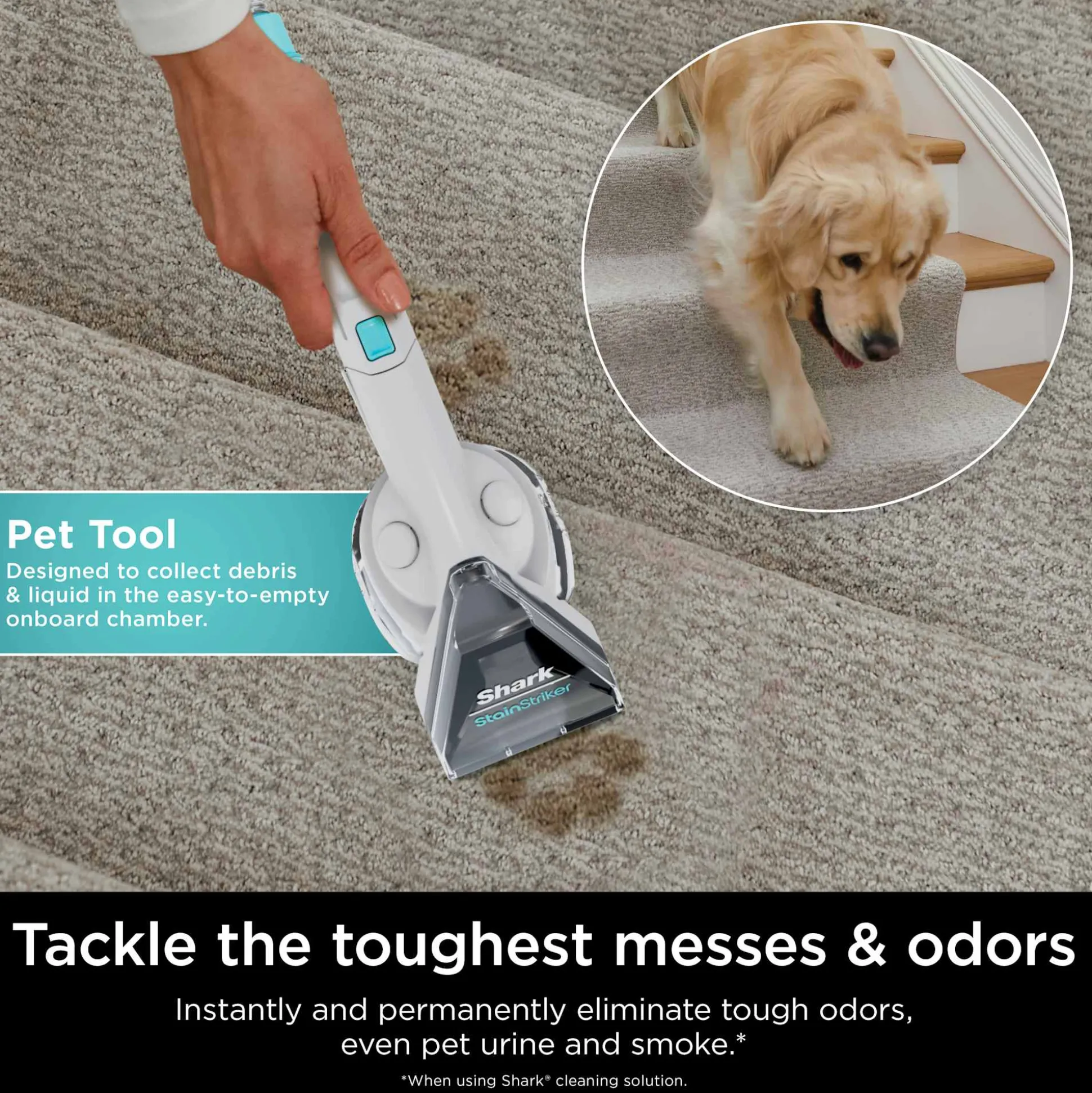 Shark StainStriker™ Portable Carpet and Furniture Cleaner